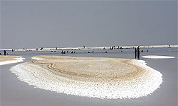 خشکسالی دریاچه ارومیه چگونه سیاسی شد؟